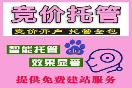 不同平台的信息流广告投放策略及成功案例对比