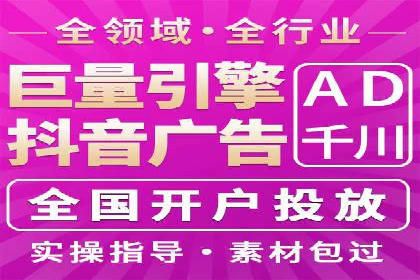 顶级SEM服务公司案例解析